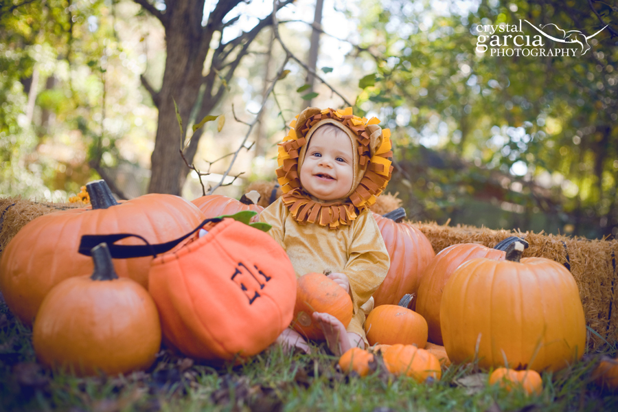 EliPumpkinPatch